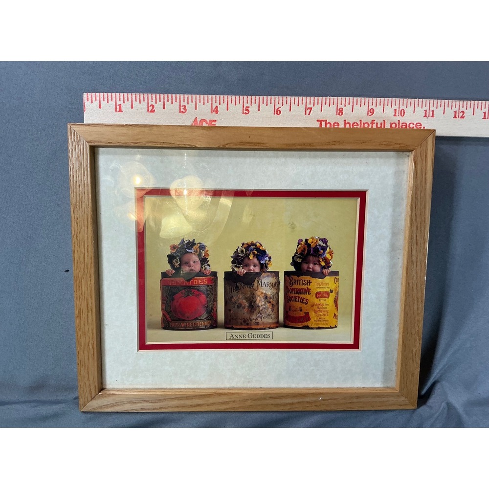 Anne Geddes Pansies Infants in Tin Cans Framed Lithograph Print 11x9 Wood Frame